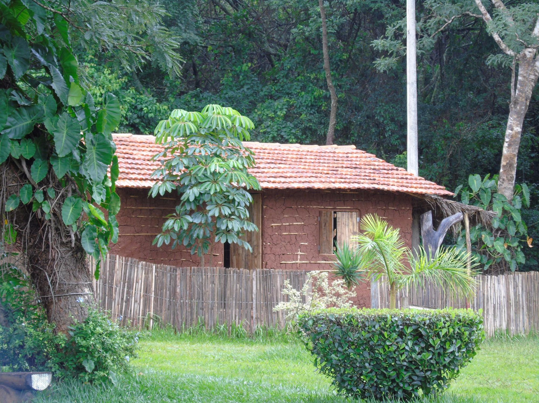 Parque Municipal Victório Siquierolli-乌贝兰迪亚必去景点