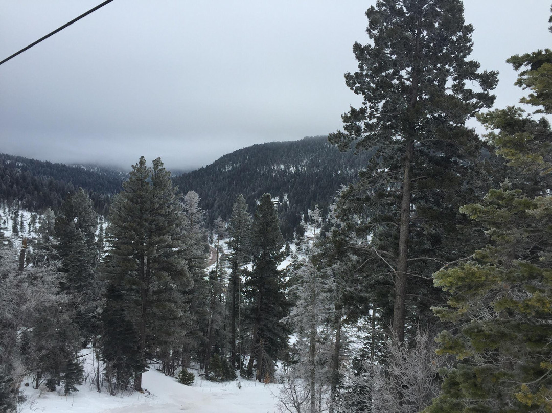 Ski Cloudcroft-Cloudcroft必去景点