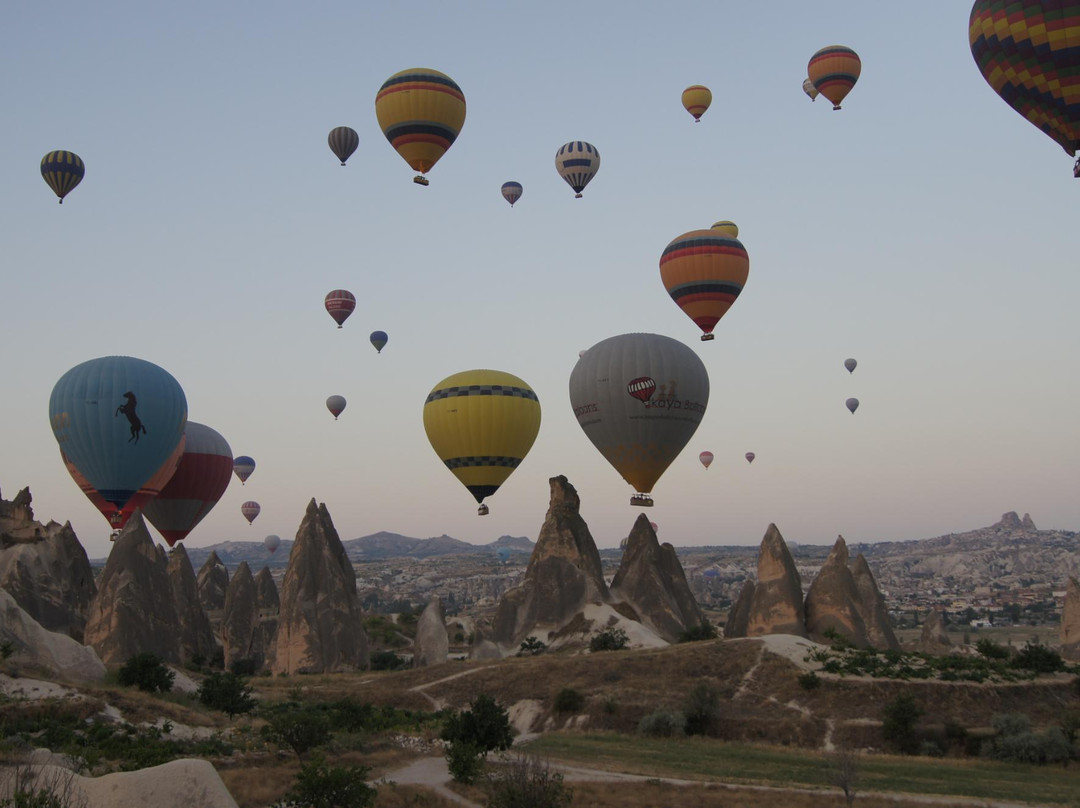 Authentic Holidays Temenus Tour-Private Tours景点图片