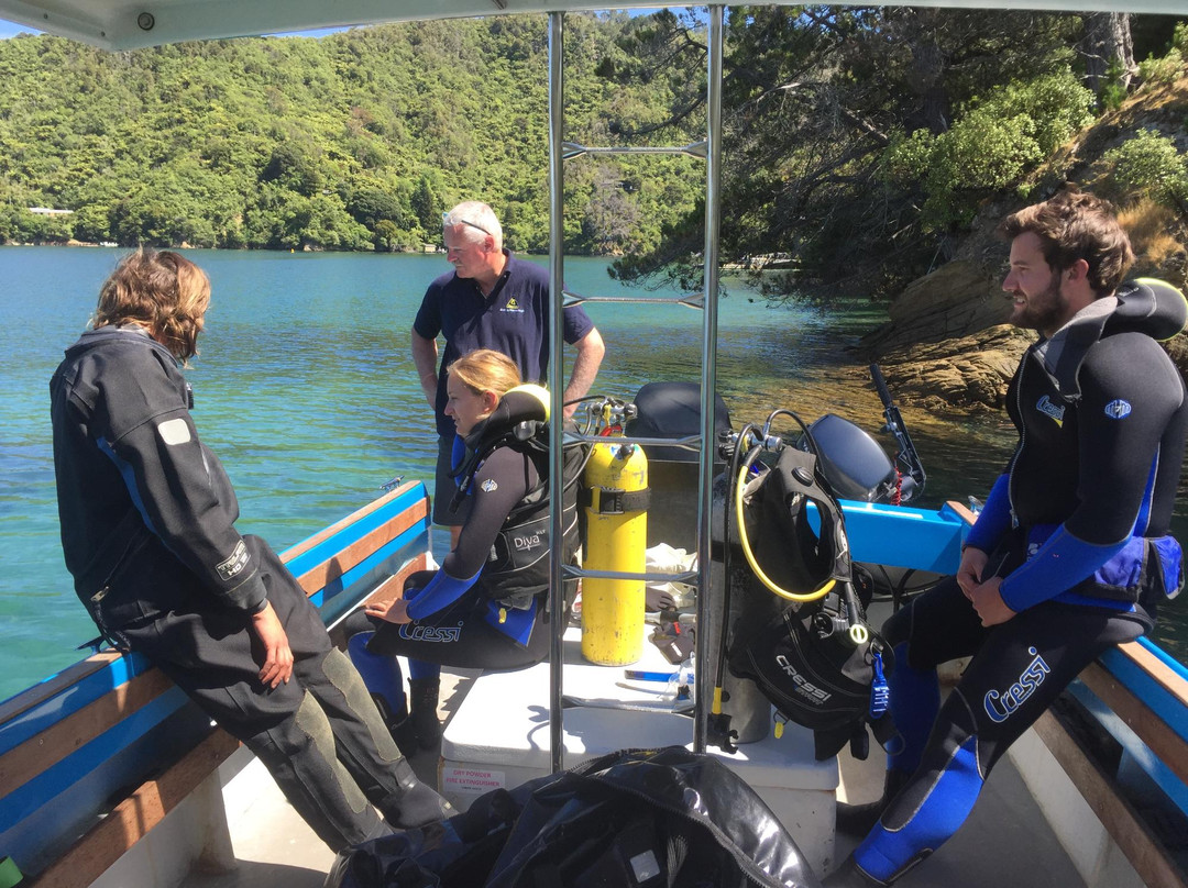 Waikawa Dive Centre景点图片