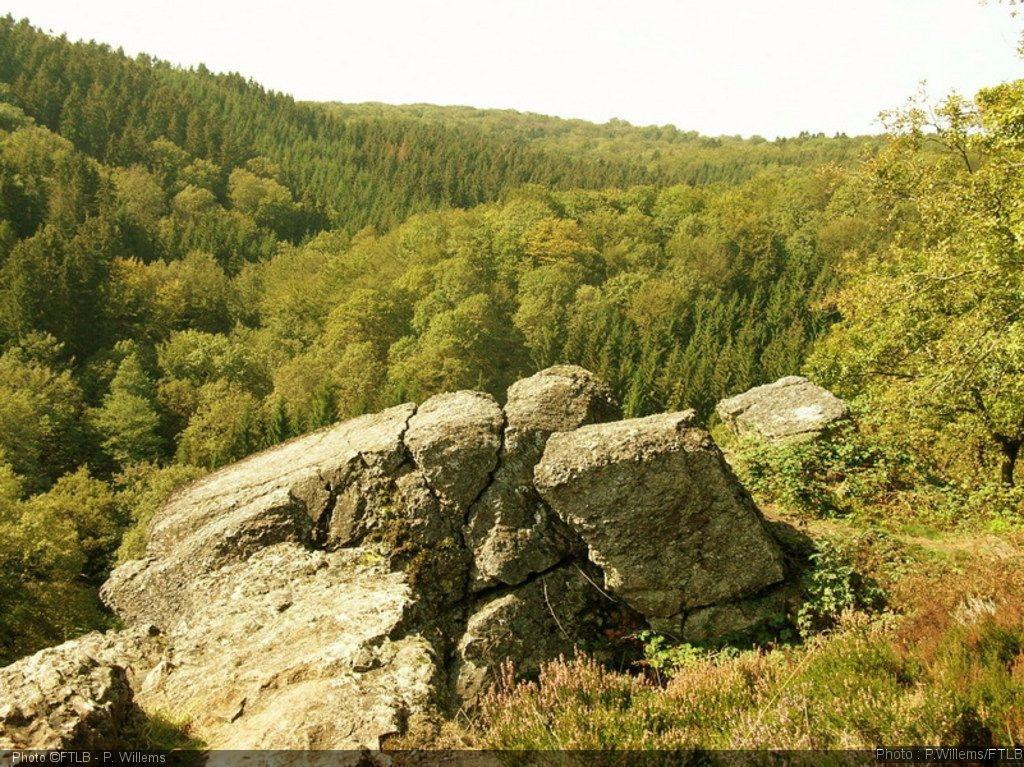 Reserve Naturelle de la Roche a l'Appel景点图片