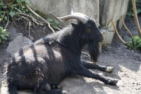 Vinnytsya Zoo-Vinnytsia必去景点
