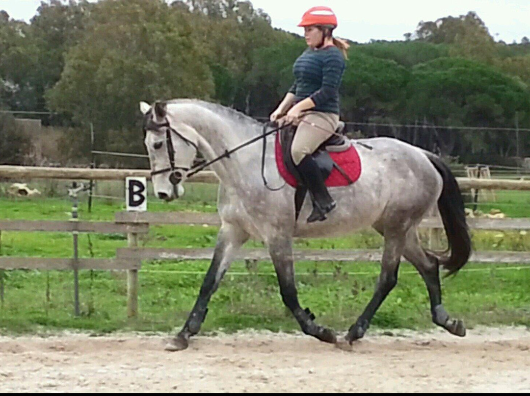 Agripark-阿尔盖罗必去景点