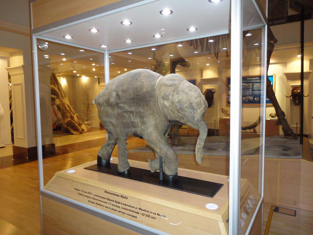Shemanovskiy Yamal-Nenets District Museum and Exhibition Complex景点图片