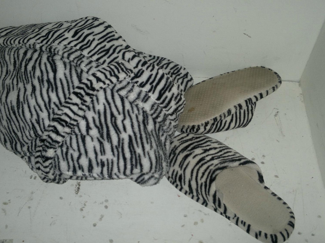 Sunnyridge Lodge主图