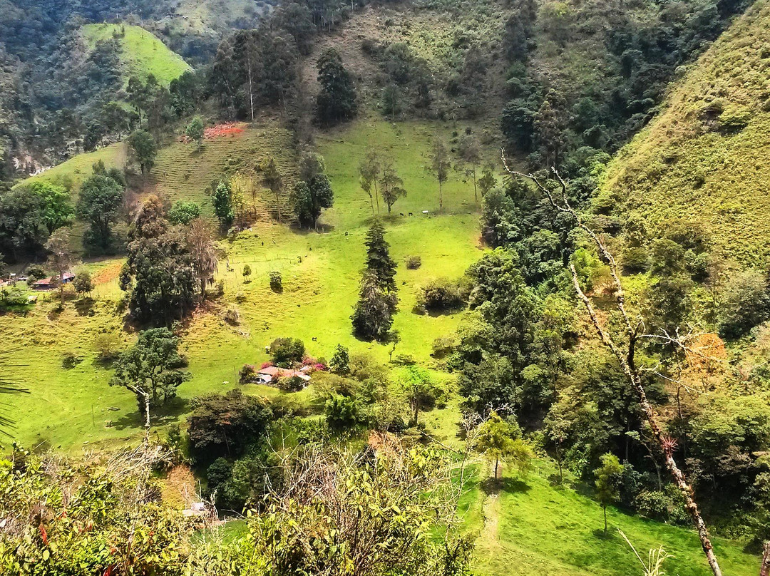 Ibague旅游攻略图片