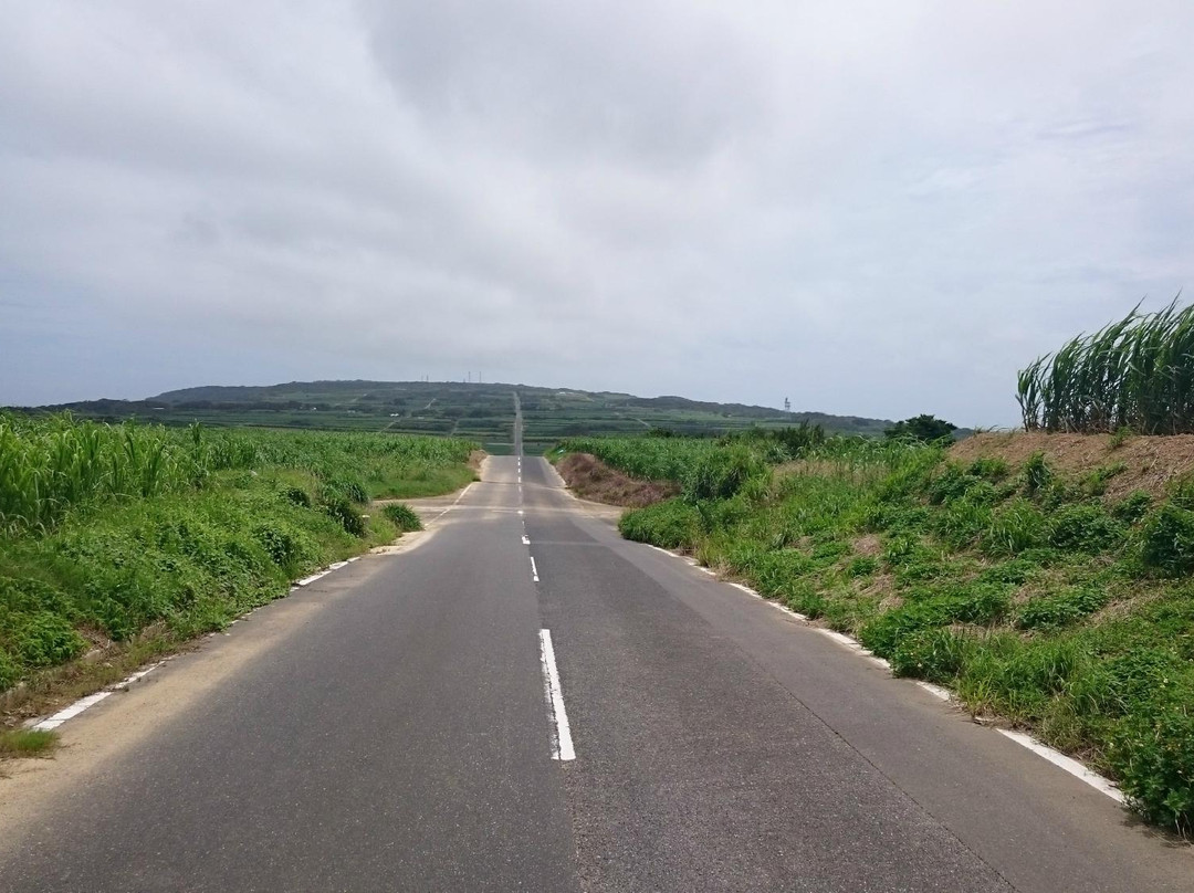 Straight Road景点图片
