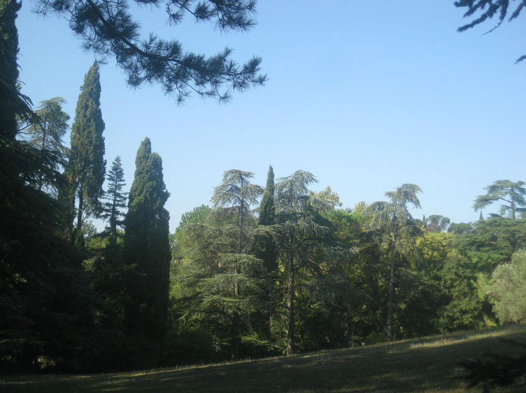 Parco Tozzoni景点图片