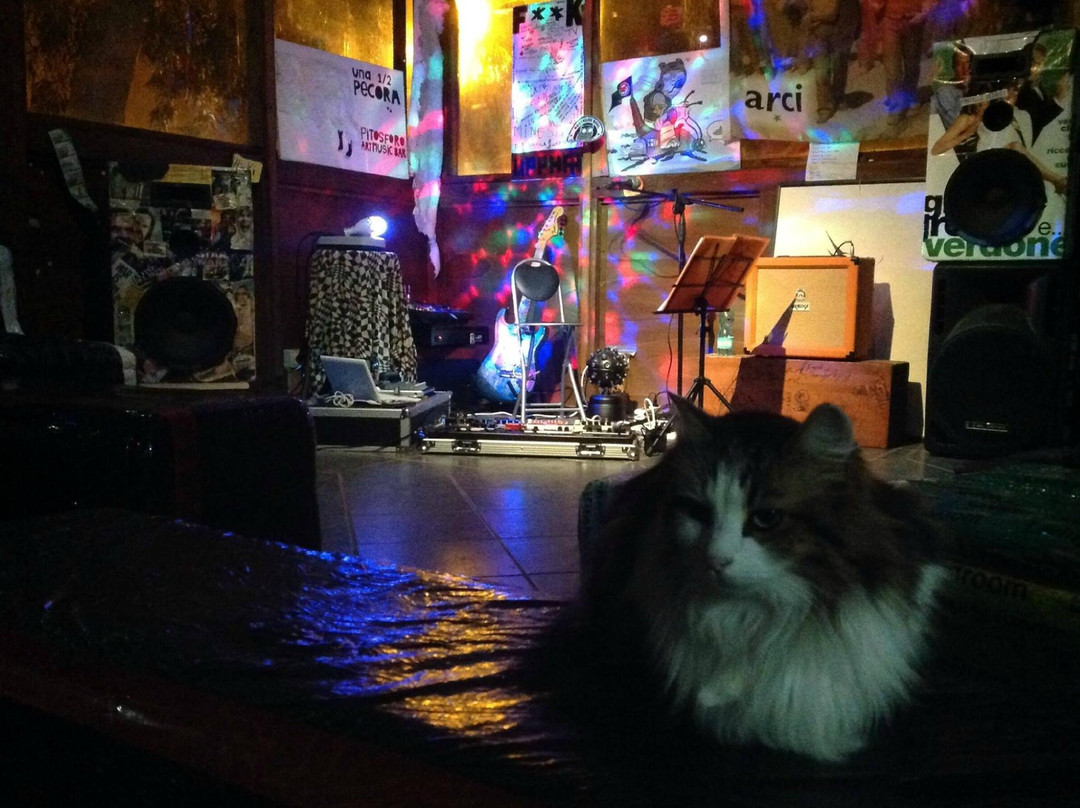 Is Urigus旅游景点-Pitosforo Art Music Bar
