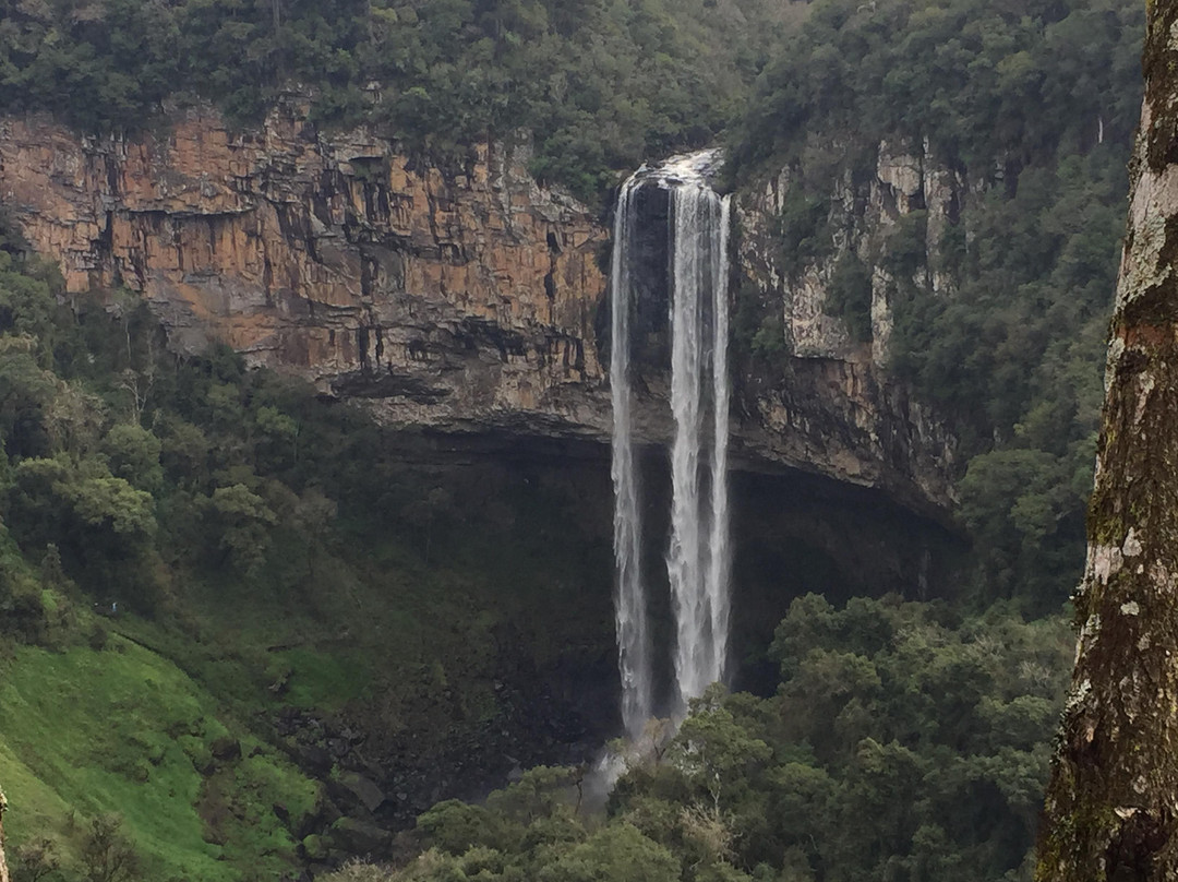 Parque Bondinhos Canela-卡内拉必去景点