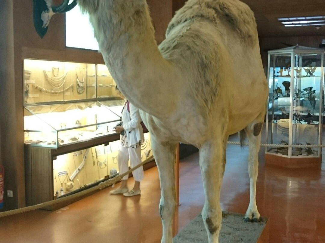 Musée Africain-Ile d'Aix必去景点