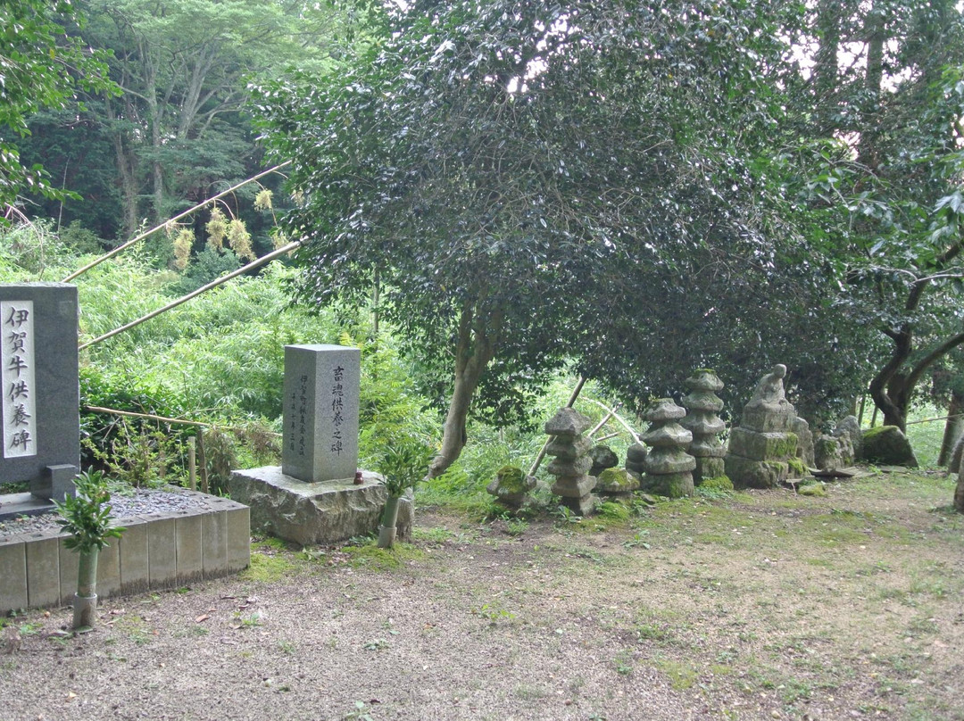 Mt. Reizan Temple景点图片