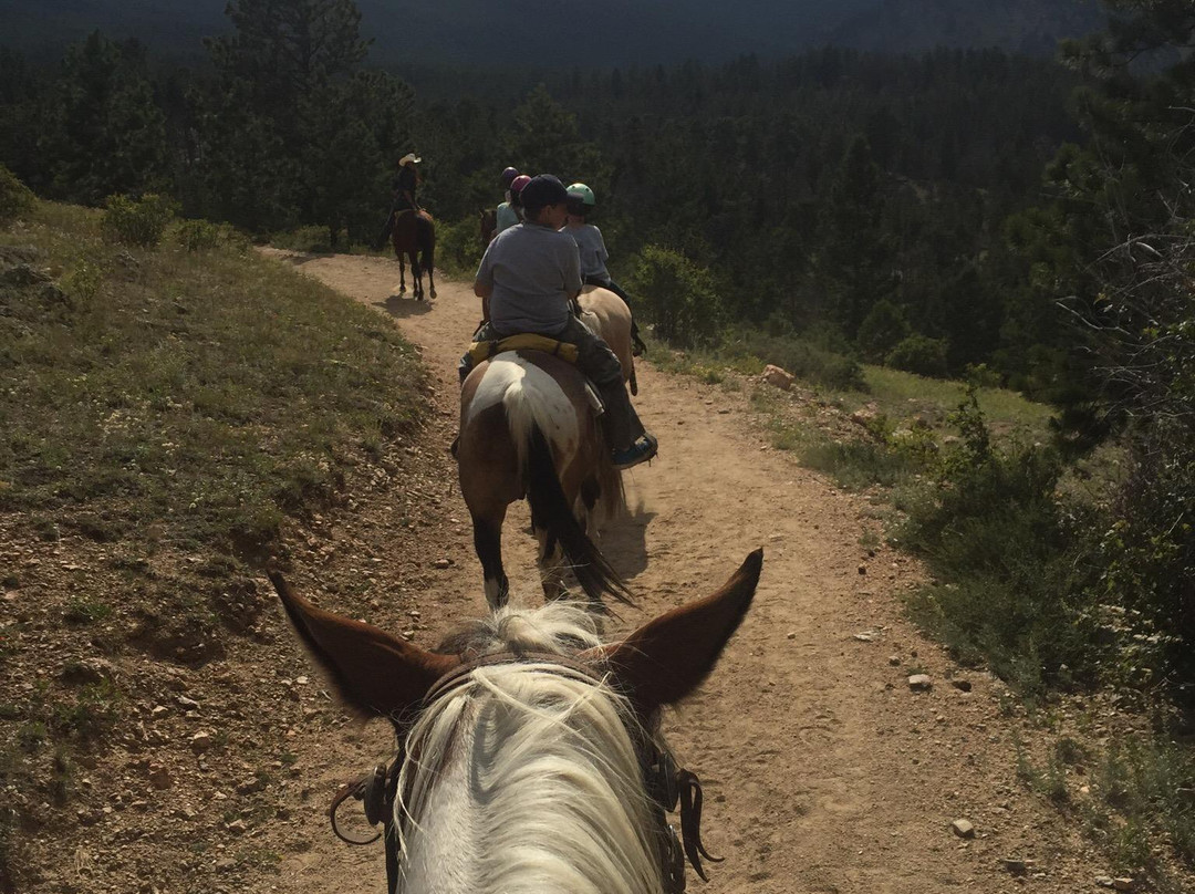 Jackson Stables-埃斯蒂斯公园必去景点