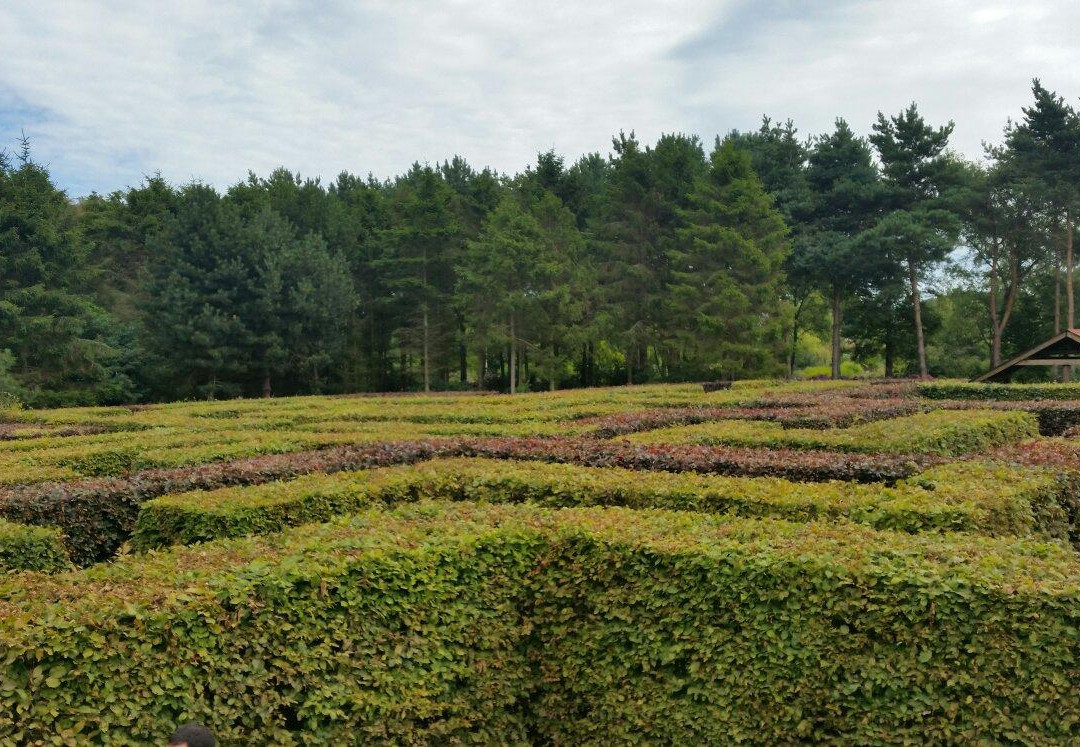 Priory Maze and Gardens-Sheringham必去景点