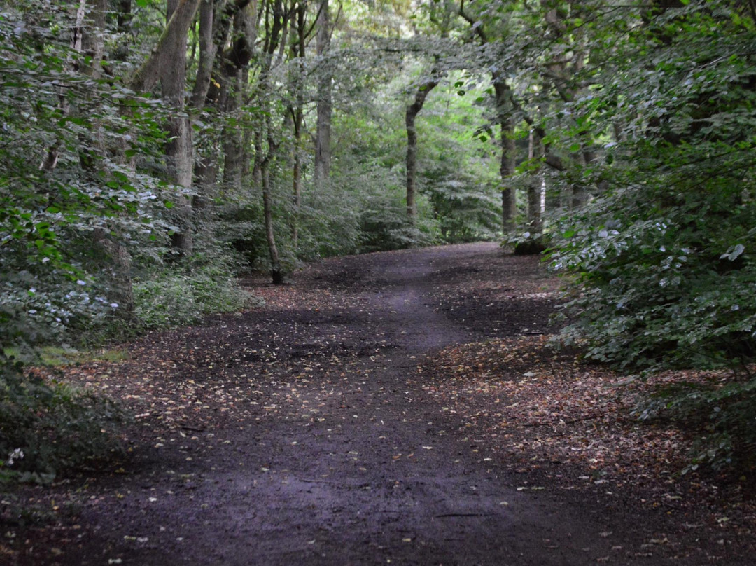 Lilford Park景点图片