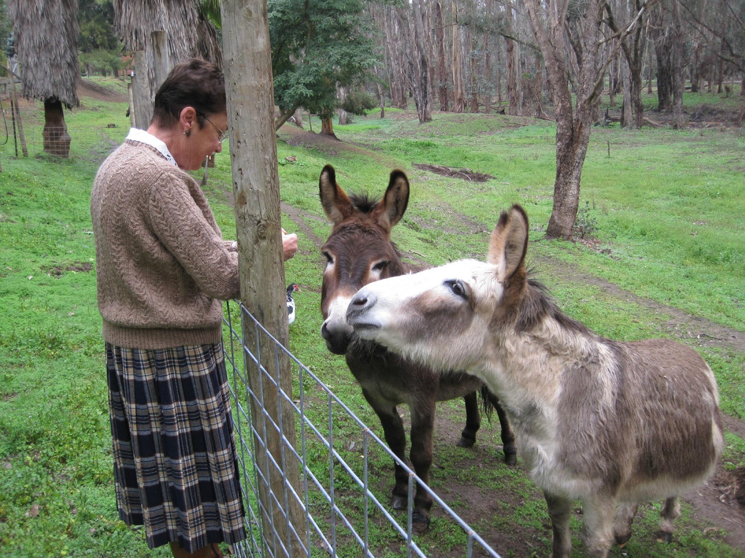 Fern Gulley Retreat主图