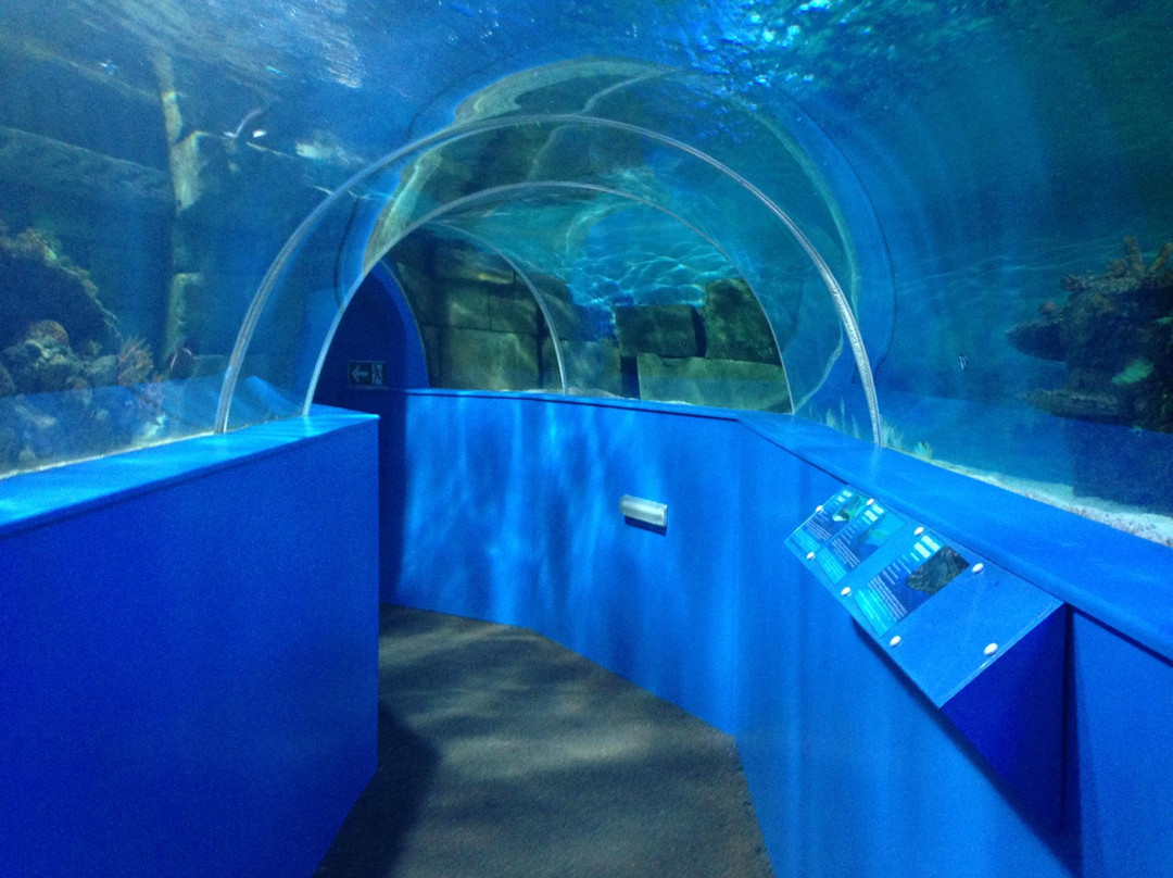 Hastings Aquarium景点图片