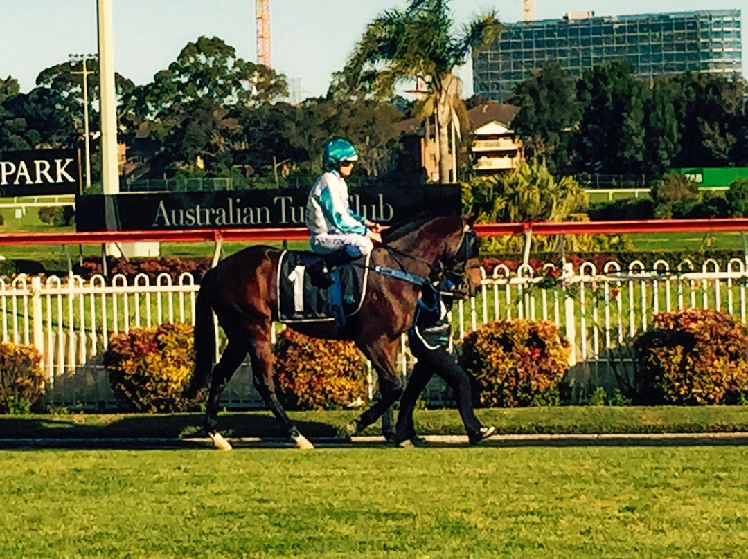 Canterbury Park Racecourse景点图片