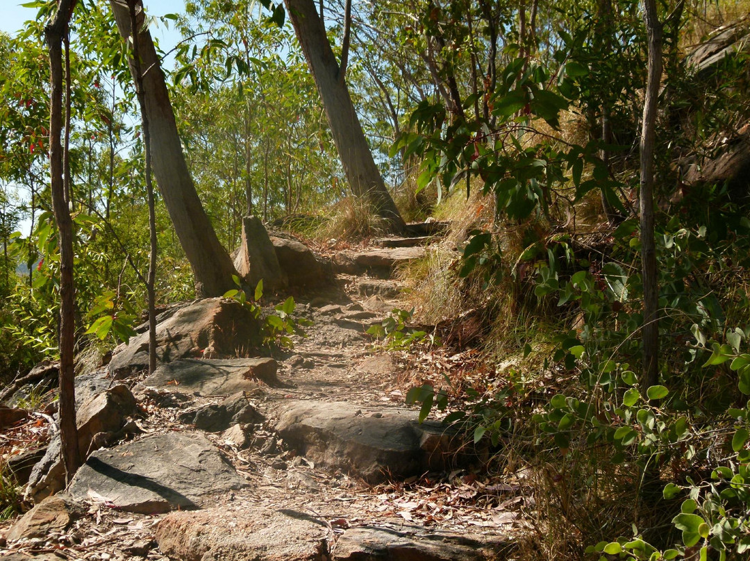 Quinkan Galleries Rock Art-Laura必去景点