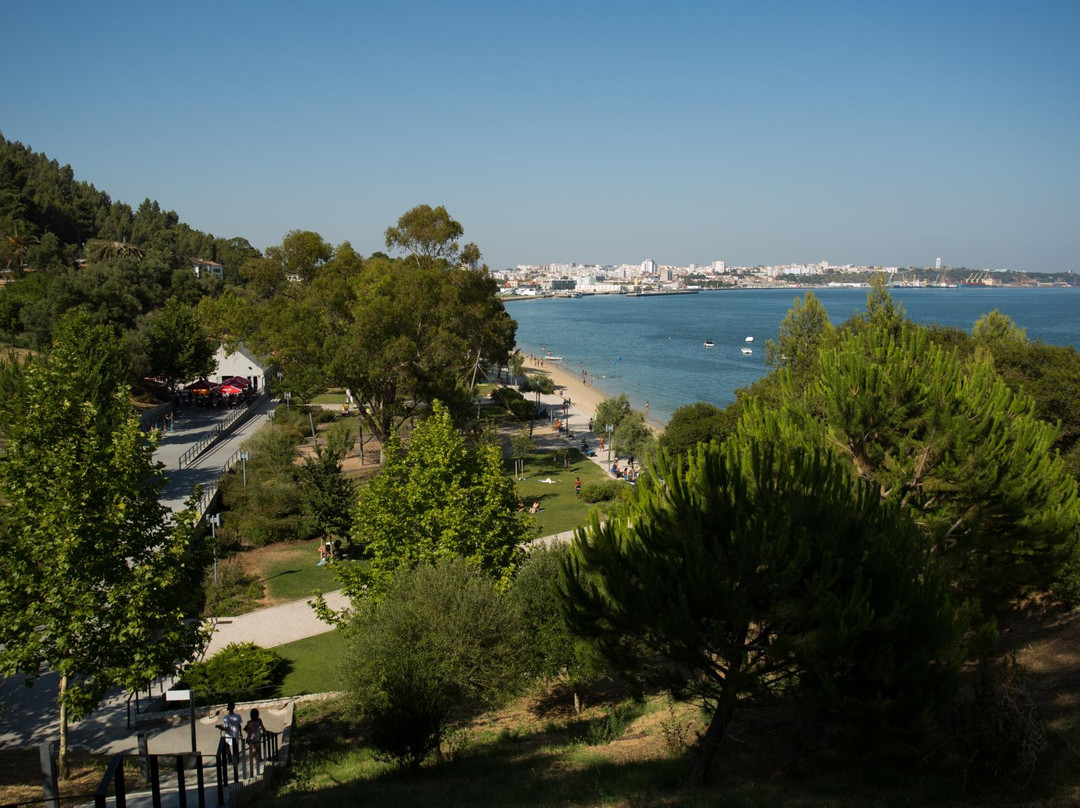 Albarquel Urban Park景点图片