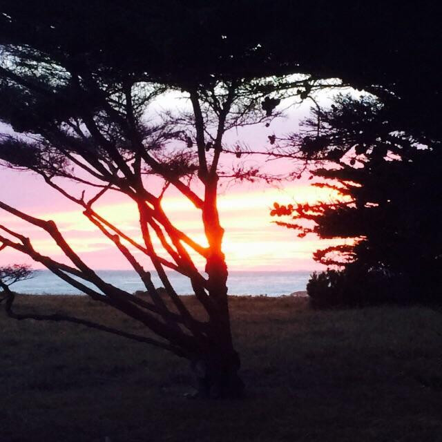 Moonstone Beach Drive景点图片