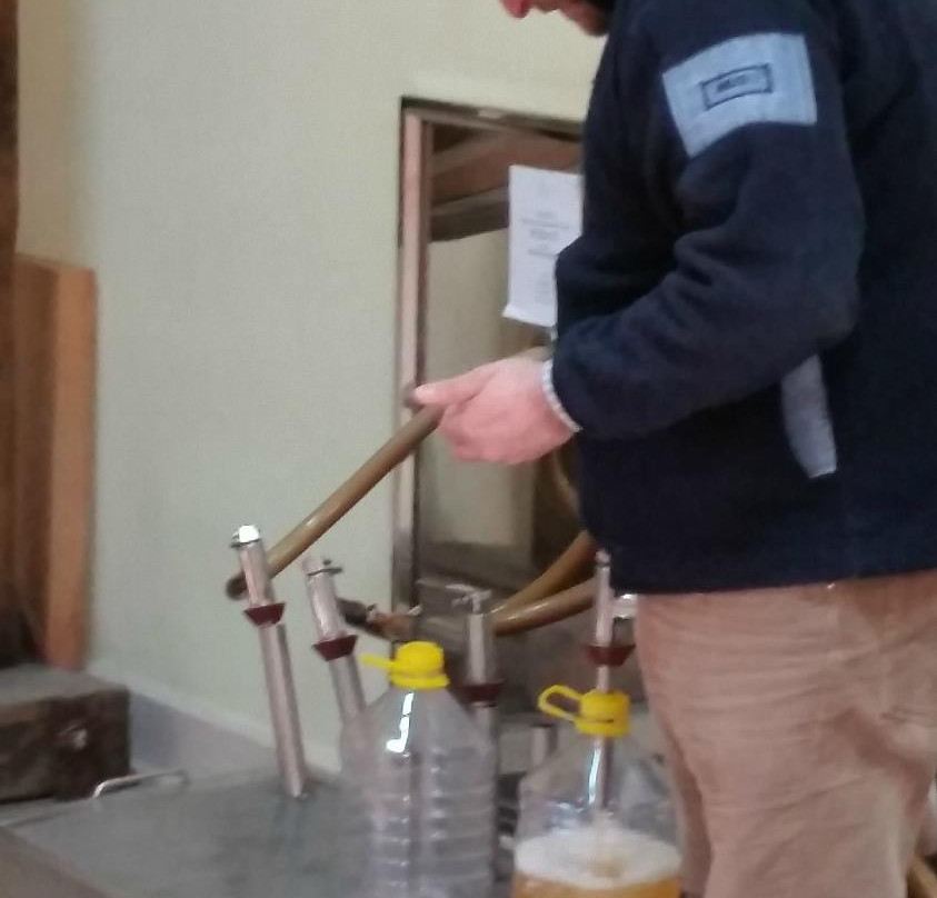 Santi Dimitri Azienda Agricola-加拉蒂纳必去景点