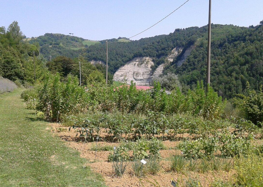 Giardino delle Erbe Augusto Rinaldi Ceroni景点图片