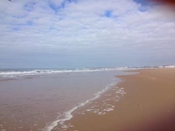 El Palmar-加的斯市必去景点