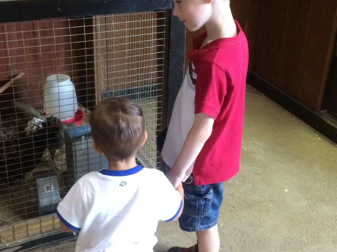 Lake Metroparks Farmpark-Kirtland必去景点