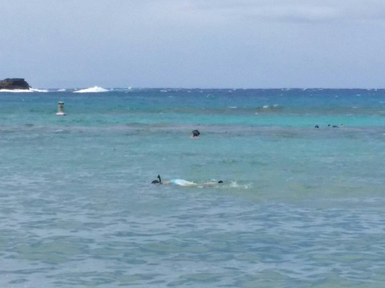 恐龙湾之旅-火奴鲁鲁必去景点