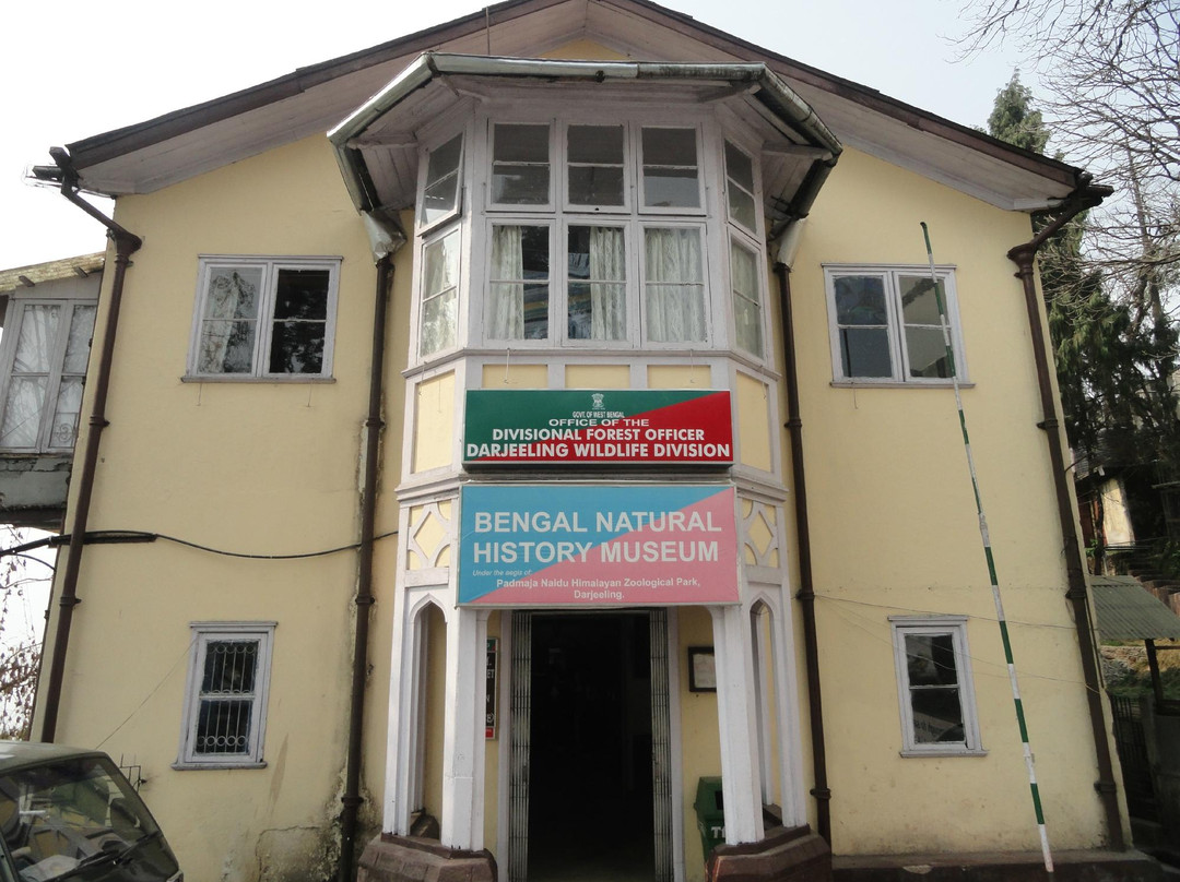 Bengal Natural History Museum景点图片