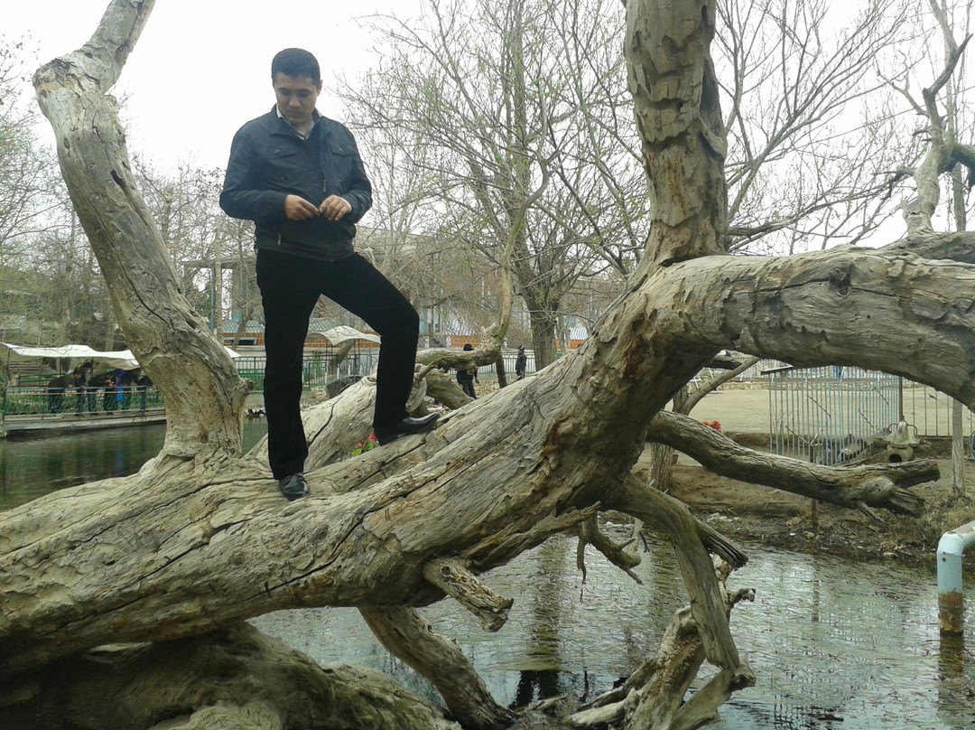 Sacred Spring Chiluchor Chashma-Qurghonteppa必去景点