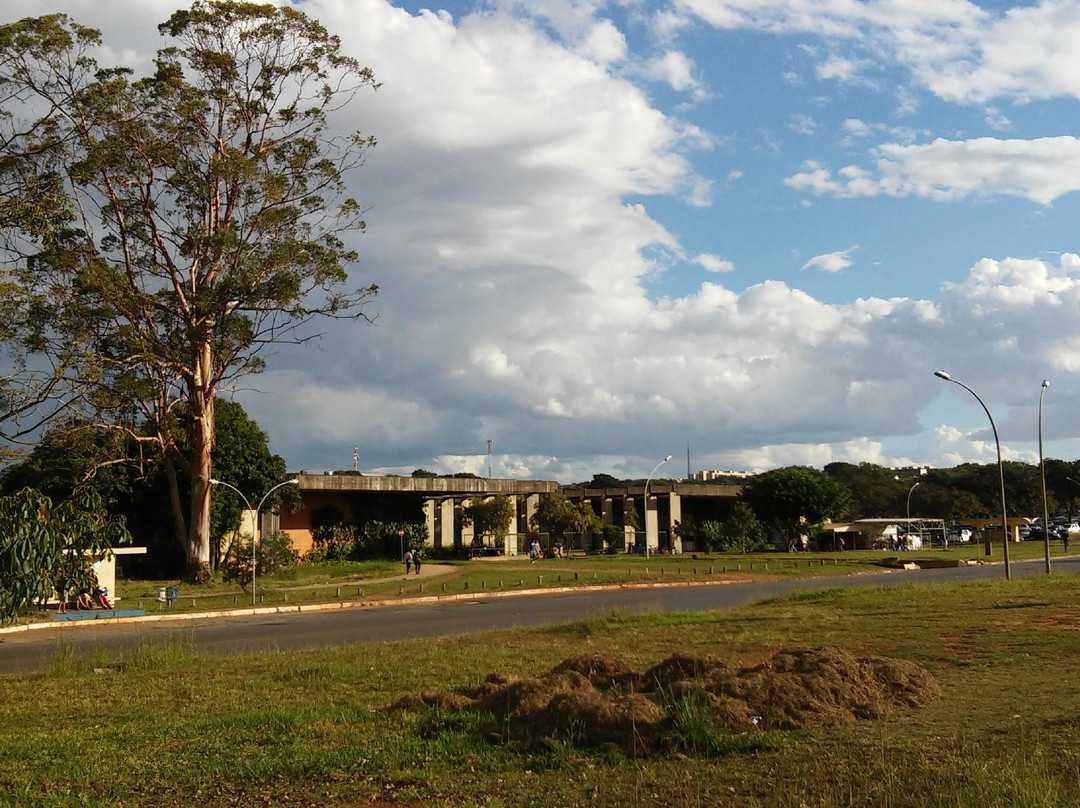 Herbário da Universidade de Brasília-巴西利亚必去景点