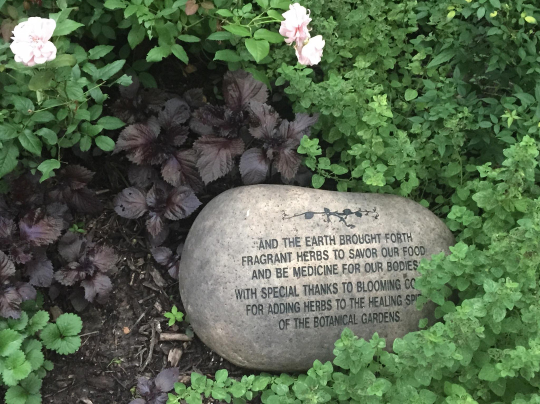 Grapevine Botanical Garden-葡萄藤必去景点