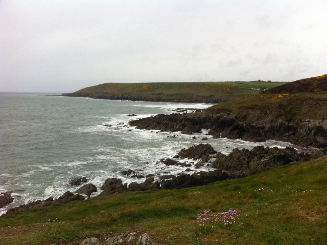 Ballycotton Cliff Walk-Ballycotton必去景点