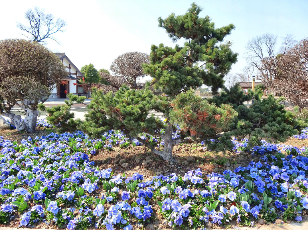 尚湖-常熟市必去景点