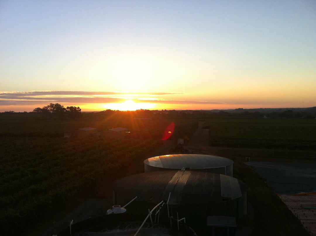 Kangarilla Road Winery景点图片
