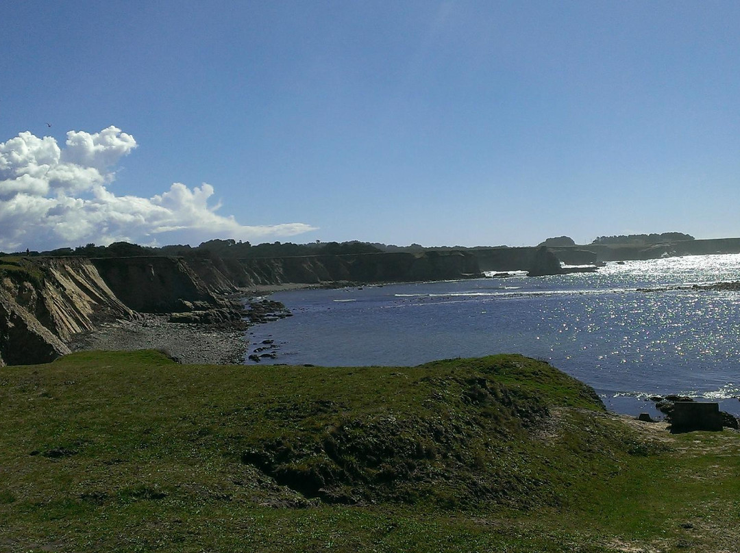 Point Arena - Stornetta Unit of the California Coastal National Monument景点图片