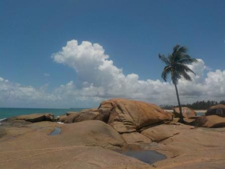 Praia Do Porto-Barreiros必去景点