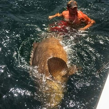 Chew On This-开普科勒尔必去景点