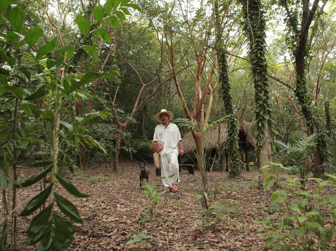 Eco Park Xanath - Papantla景点图片