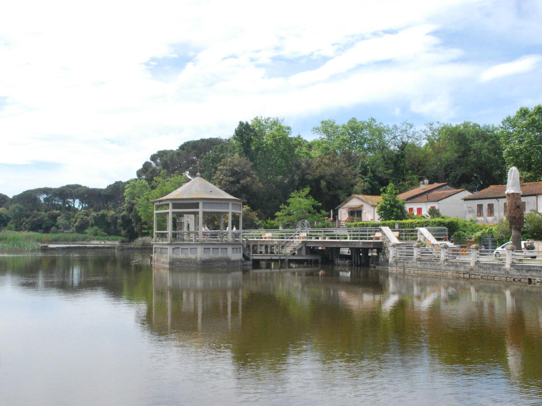 Lake Massaciuccoli景点图片