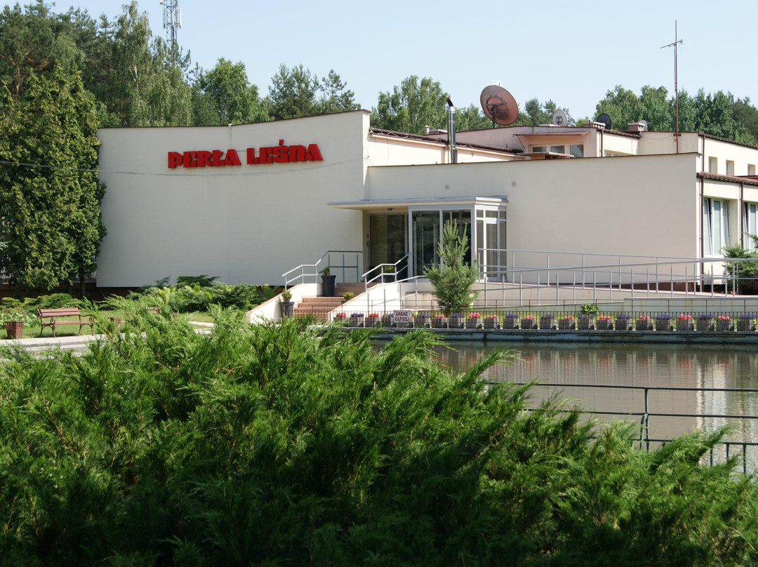 Podkowa Lesna旅游攻略图片