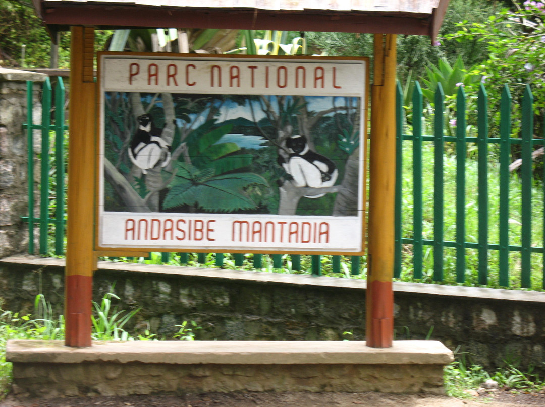 Andasibe-Mantadia National Park景点图片