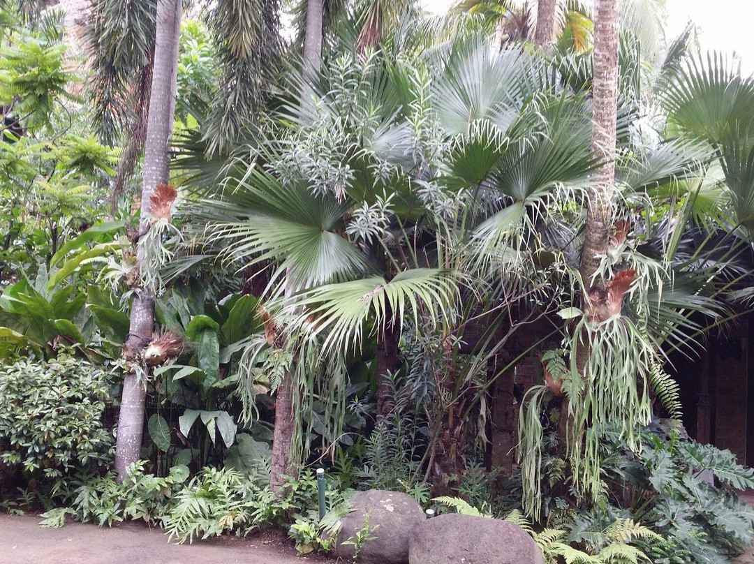 Widayanto Ceramic House-雅加达必去景点