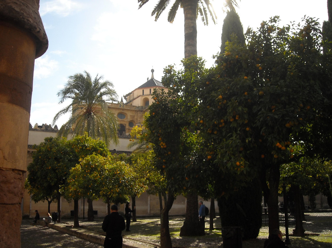 Patio de los Naranjos景点图片