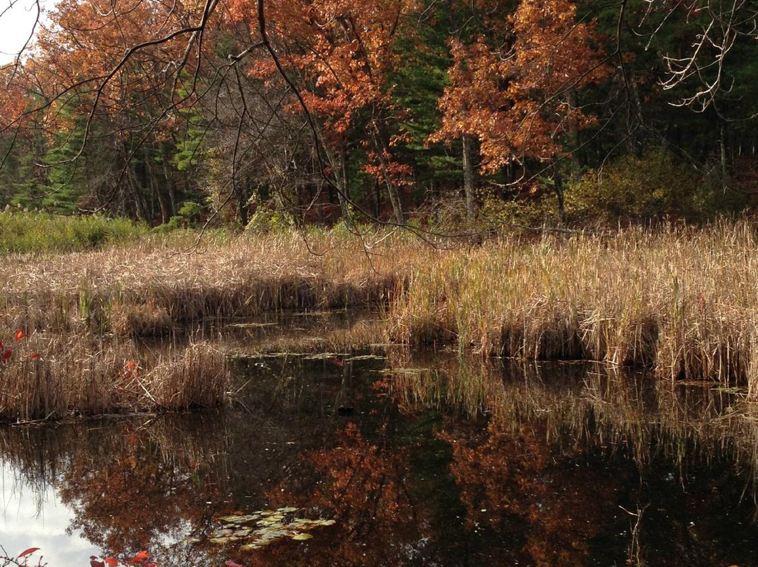 Haggetts Pond-Tewksbury必去景点