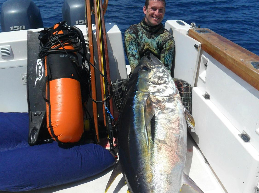 DBM Azores - Sport Fishing Charters-Sao Roque do Pico必去景点