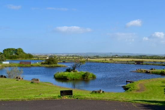 Moorbrook trout fishery-科尔雷恩必去景点
