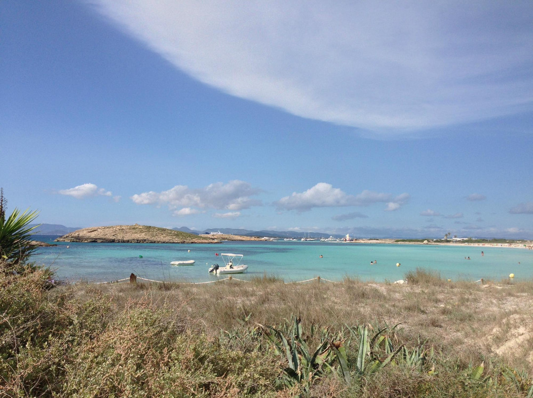 THE BEACH - Formentera景点图片